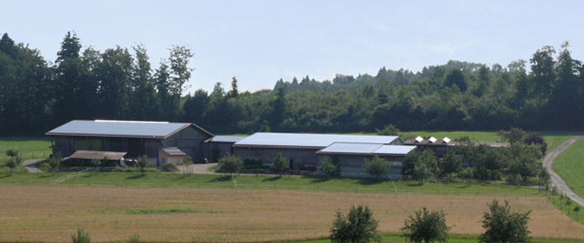 Hof von Westen gesehen