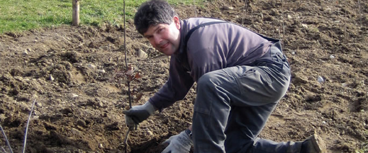 Guido Winterberg