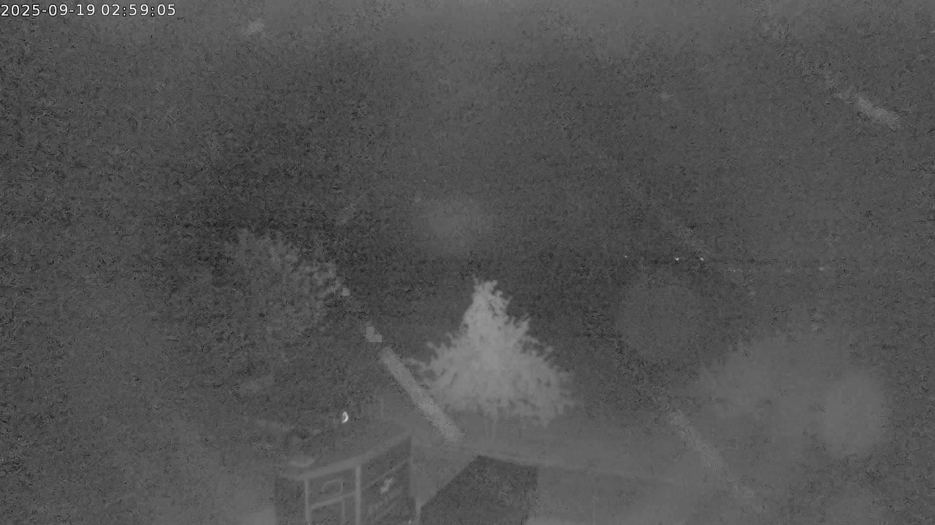 Webcambild nicht verfügbar