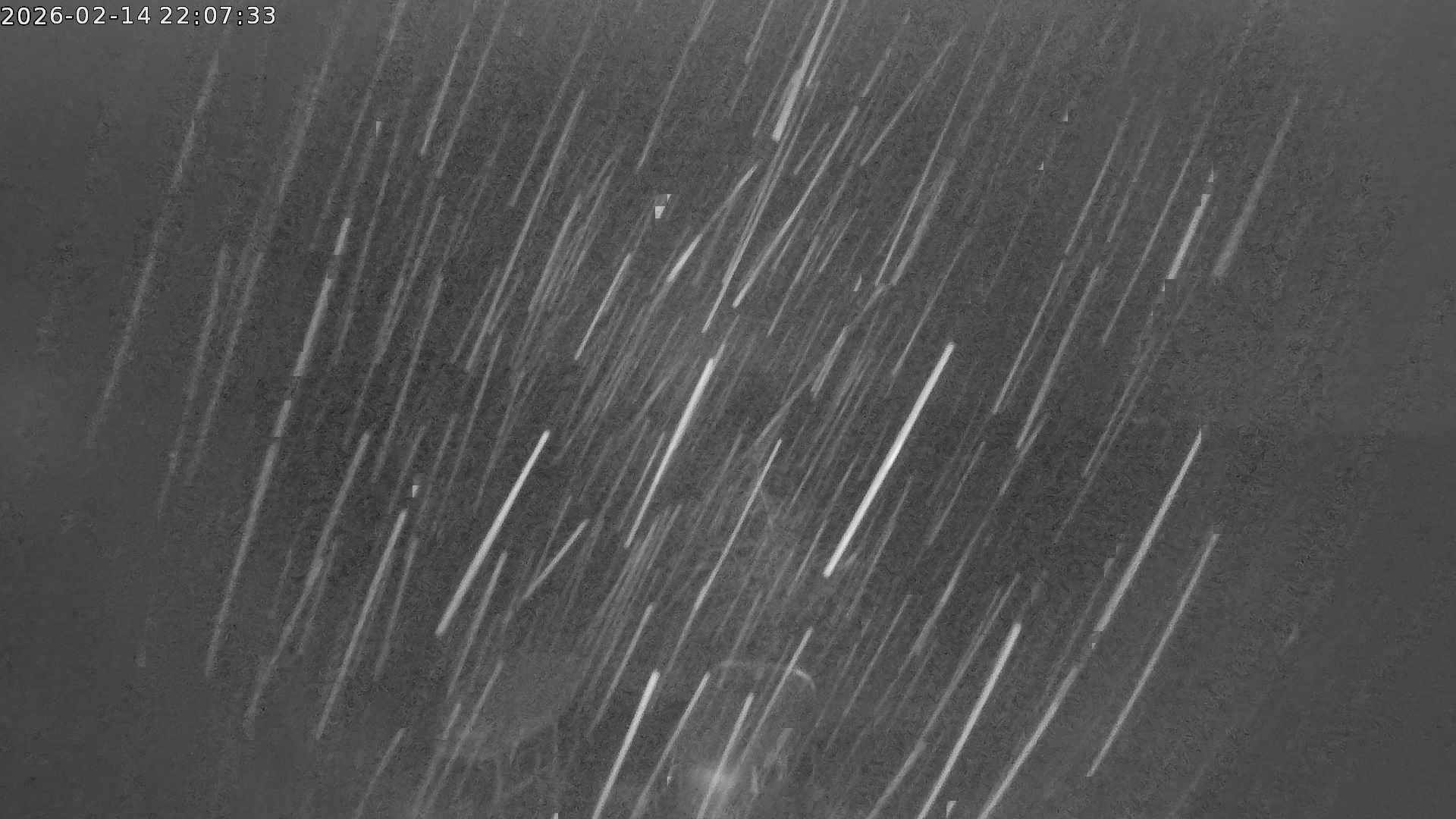 Webcam Bild zur Zeit nicht verfügbar