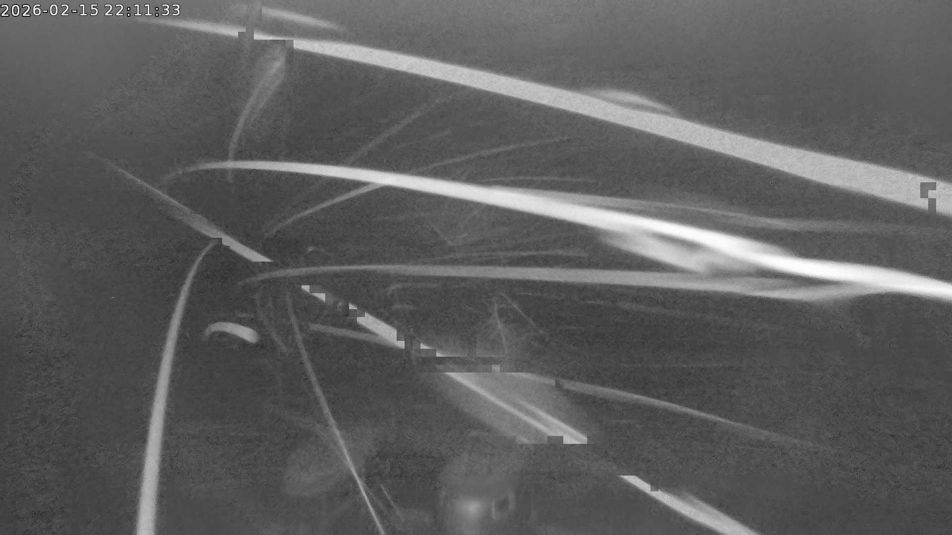 Webcam Bild zur Zeit nicht verfügbar