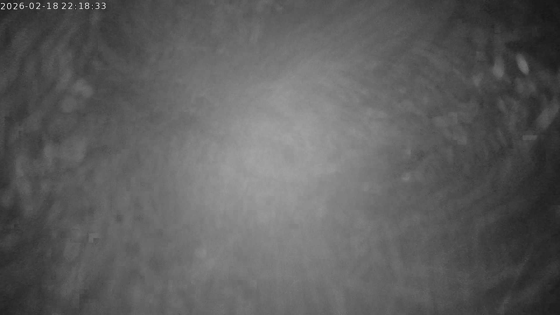 Webcam Bild zur Zeit nicht verfügbar