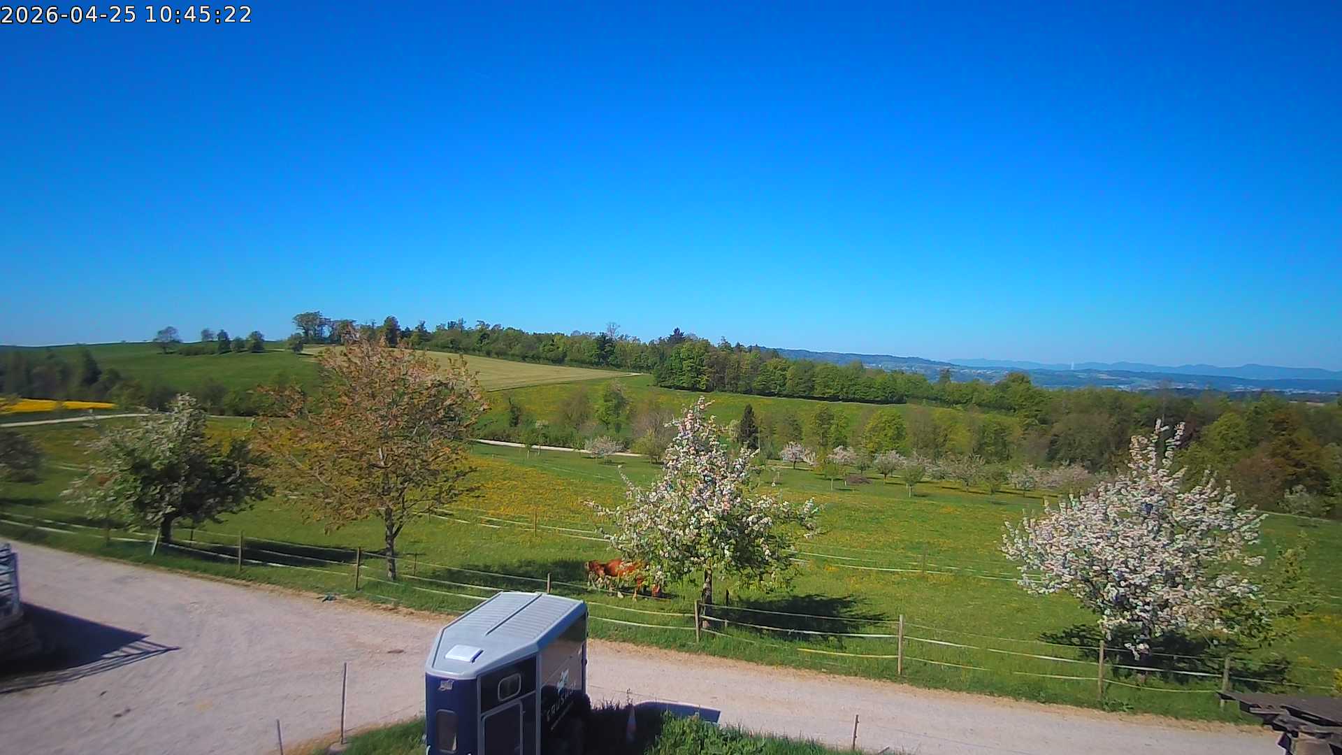 Webcam Bild zur Zeit nicht verfügbar