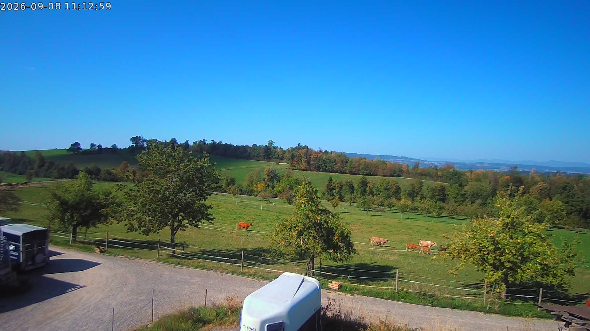 Webcam Bild zur Zeit nicht verfügbar